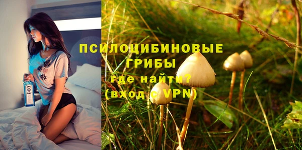 хмурый Дедовск