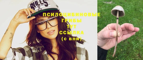 не бодяженный Беломорск