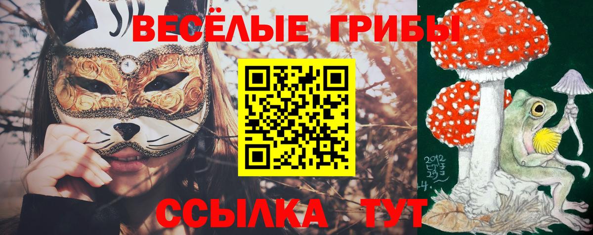 Псилоцибиновые грибы MAGIC MUSHROOMS  Псилоцибиновые грибы прущие грибы  Бутурлиновка  Вход с VPN 